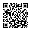 To view this 2003 Lincoln Town Car Norfolk VA from Joel's Auto Wholesale, please scan this QR code with your smartphone or tablet to view the mobile version of this page.