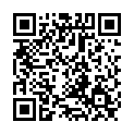 To view this 2011 Lincoln Town Car Norfolk VA from Joel's Auto Wholesale, please scan this QR code with your smartphone or tablet to view the mobile version of this page.