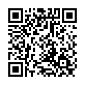 To view this 2003 Lincoln Town Car Norfolk VA from Joel's Auto Wholesale, please scan this QR code with your smartphone or tablet to view the mobile version of this page.