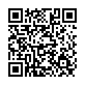 To view this 2014 Chrysler Town & Country Norfolk VA from Joel's Auto Wholesale, please scan this QR code with your smartphone or tablet to view the mobile version of this page.