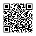 To view this 2013 BMW 5-Series Norfolk VA from Joel's Auto Wholesale, please scan this QR code with your smartphone or tablet to view the mobile version of this page.