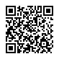 To view this 2009 Ford Flex Norfolk VA from Joel's Auto Wholesale, please scan this QR code with your smartphone or tablet to view the mobile version of this page.