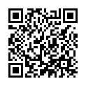 To view this 2006 Lincoln Navigator Norfolk VA from Joel's Auto Wholesale, please scan this QR code with your smartphone or tablet to view the mobile version of this page.