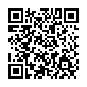To view this 2011 Ford Flex Norfolk VA from Joel's Auto Wholesale, please scan this QR code with your smartphone or tablet to view the mobile version of this page.